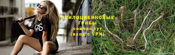 a pvp Аркадак