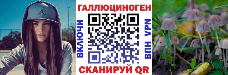 Псилоцибиновые грибы Psilocybe  купить   Фатеж 