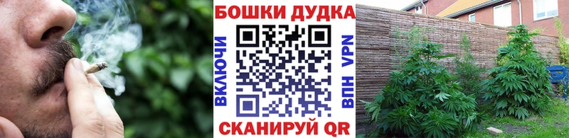 дарк нет телеграм Фатеж Шишки марихуана ГИДРОПОН