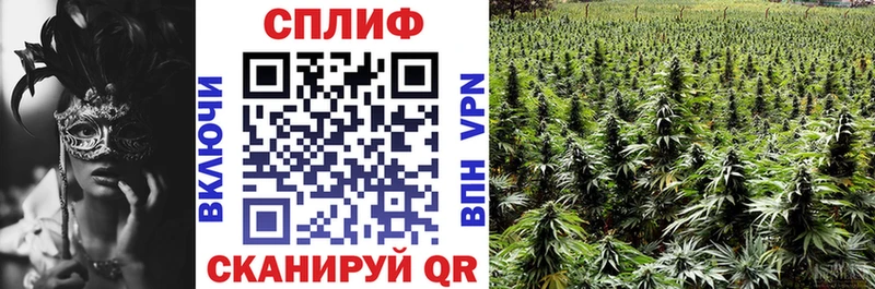 Бошки марихуана Bruce Banner Фатеж